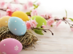 Geverfde paaseieren met hooi en japanse sierkers